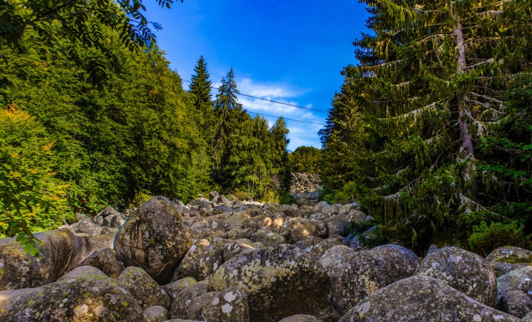 Vitosha Nature Park, Bulgaria